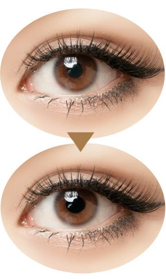  Bruine ogen Perspectief contactlenzen